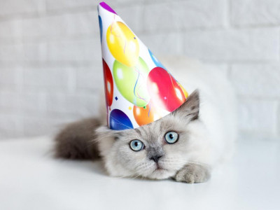 $10 Off $30 @ PetSmart.ca