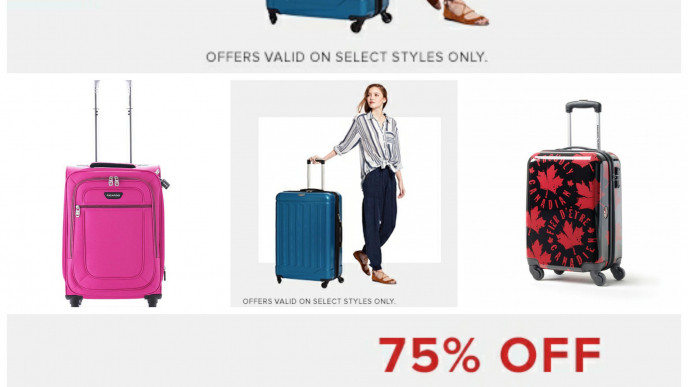 Hudson's bay cheap luggage sale