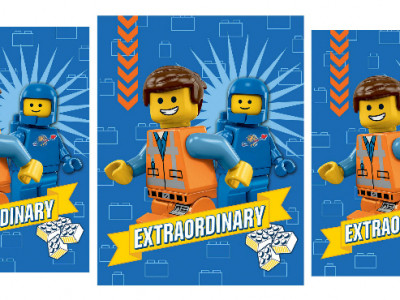 LEGO Throw $19 @ Walmart.ca