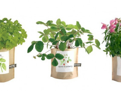 Garden-In-A-Bag @ Well.ca