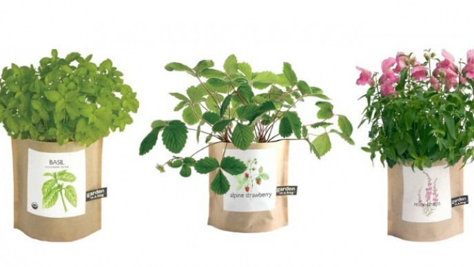Garden-In-A-Bag @ Well.ca