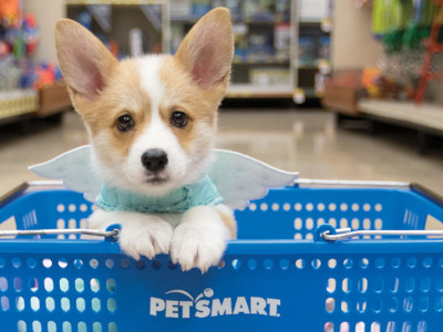 Free Pet Kit @ Purina