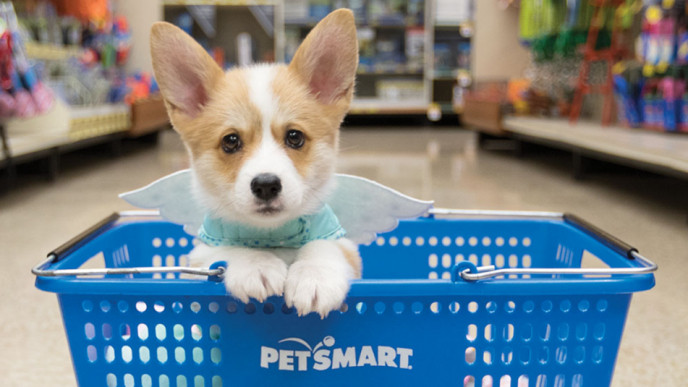 Free Pet Kit ($95 Value) @ Purina Canada