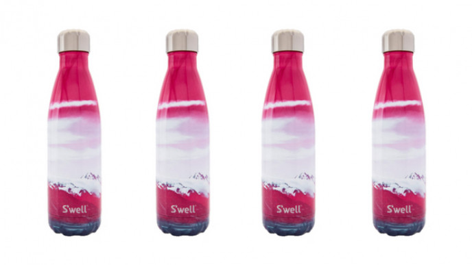 S'well Destination Collection Water Bottle $29.95