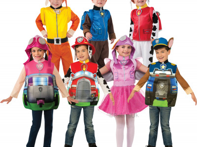 Where to Buy Paw Patrol Costumes