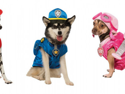 PAW Patrol Costumes for Dogs