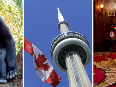 Is the Toronto CityPASS Worth It?