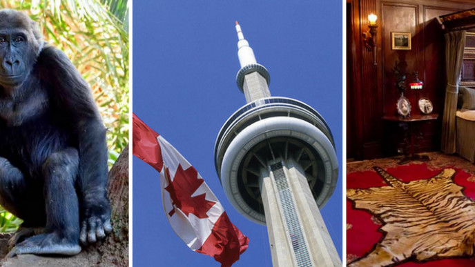 Is the Toronto CityPASS Worth It? Our Verdict