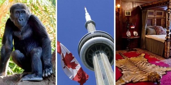 Is the Toronto CityPASS Worth It? Our Verdict