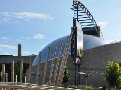 Sensory-Friendly Saturdays