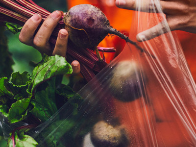 Guide to Zehrs Online Grocery