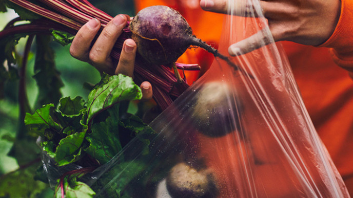 Guide to Zehrs Online Grocery