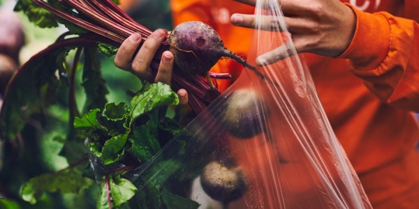 A Guide to Zehrs Online Grocery