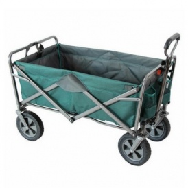 Costco Wagon $74.99 Shipped