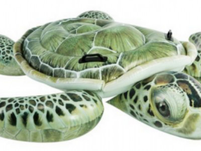 Pool Floats from $7.99 Shipped