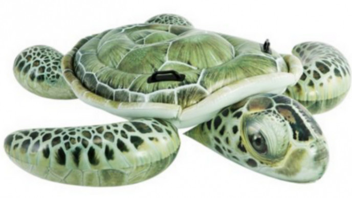 Intex Pool Floats from $7.99 Shipped Today Only