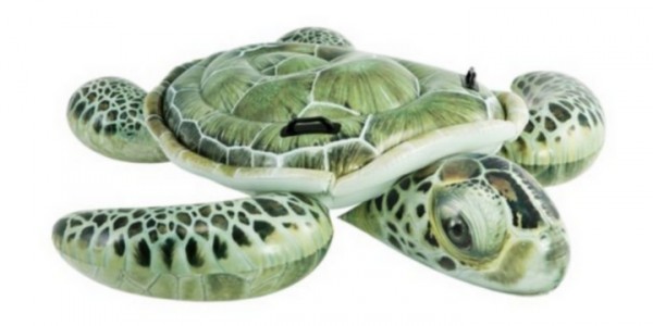 Intex Pool Floats from $7.99 Shipped Today Only