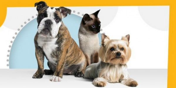 10% off + FREE $25 Amazon Gift Card @ Petplan