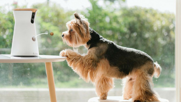 Treat-Tossing Furbo Dog Camera on Sale for $199