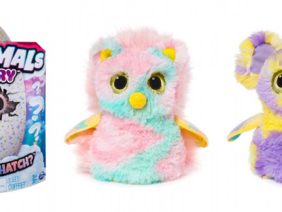 Hatchimals Mystery in Canada