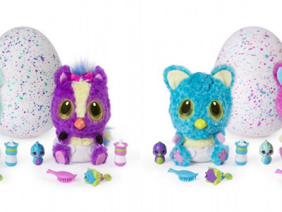 Where to Buy HatchiBabies 