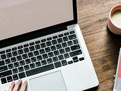 Welcome to the New Bargainmoose!