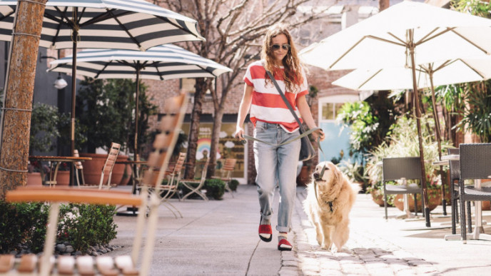 Victoria Day Sale: 25% off Everything @ Roots