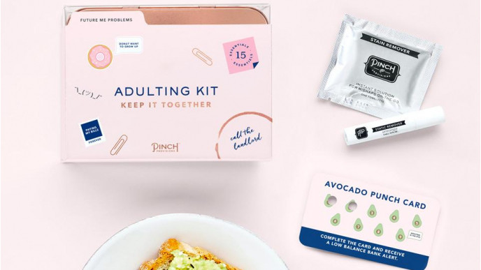 Adulting Kit by Pinch Provisions $32 @ Chapters