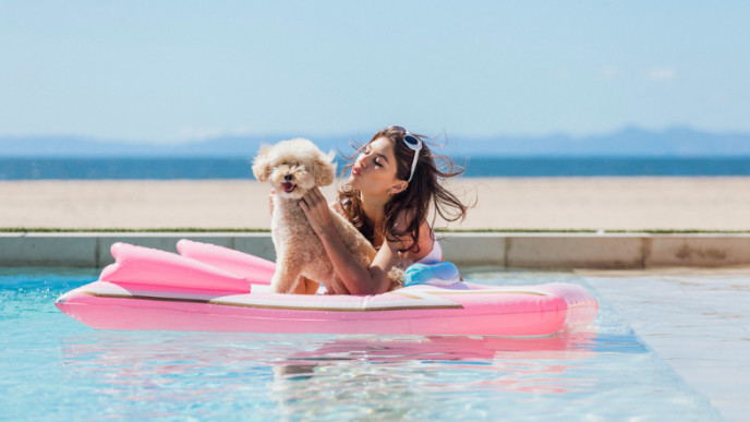 You Can Now Buy Pool Floats for Your Dog