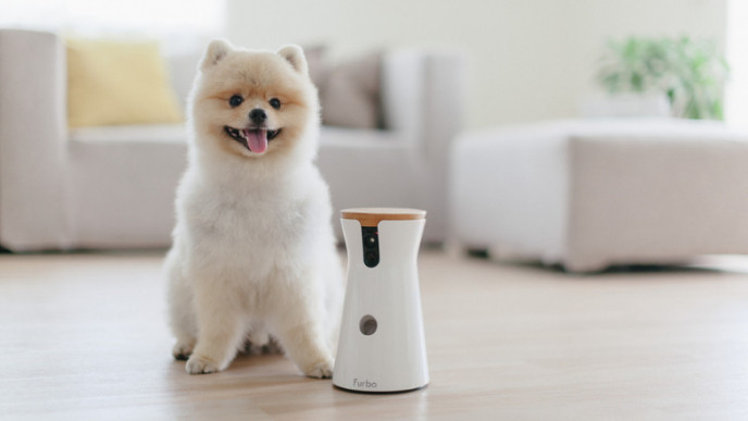 This Pet Camera Tosses Treats to Your Dog!
