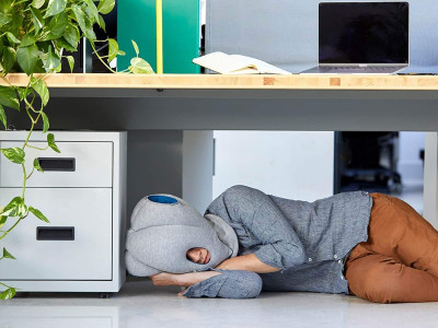 You NEED An Ostrich Pillow