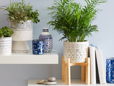 Shopping Festival @ Walmart