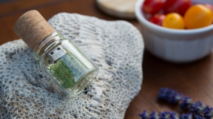 Send a Message in a Bottle ... with this USB!