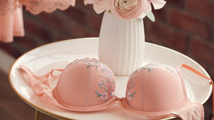 2 FREE La Vie en Rose Bras When You Buy 1