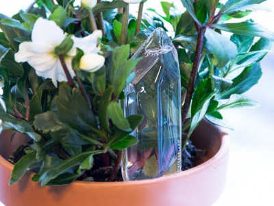 Watering Crystal for $17.09