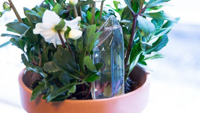This Kikkerland Crystal Waters Your Plants