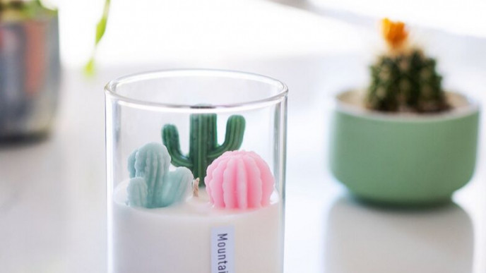 Add a Succulent Candle to My Wish List!