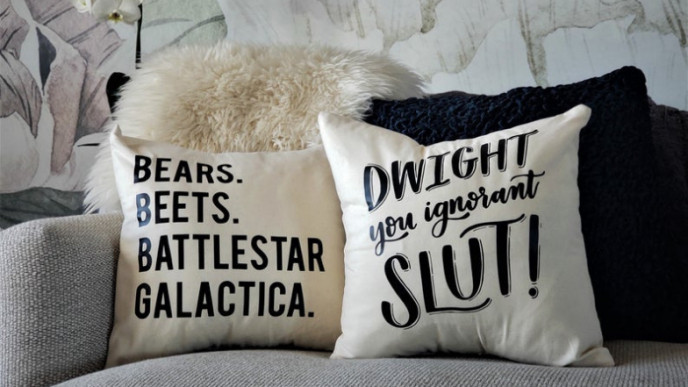 Set of 2 Office Pillow Covers for $55 Shipped