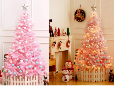 Best Alternative Christmas Trees Canada 2019