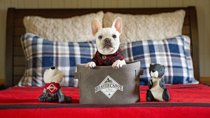 Roots Just Launched a Collection for Dogs