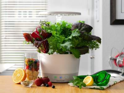 Boxing Week Sale @ Costco