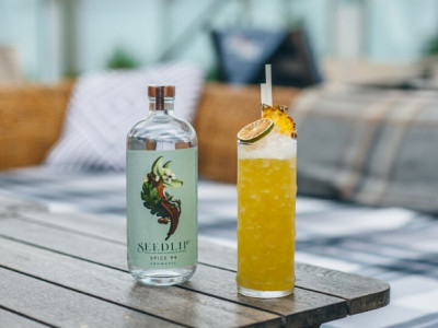 Seedlip from $45 @ Well.ca