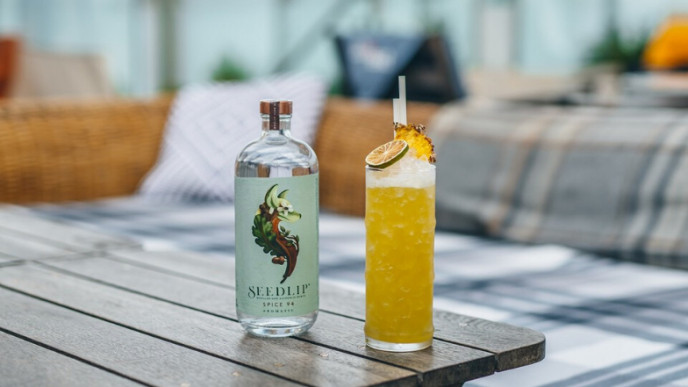 You Can Buy Non-Alcoholic Spirits @ Well.ca