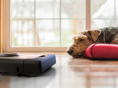 Neato Vacuums @ Best Buy