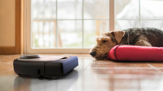 These Neato Vacuums Won't Cut Corners