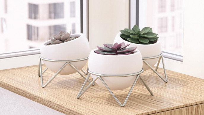 25% off Home Event @ Chapters Indigo