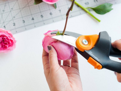 FREE Canadian Tire Gift Card