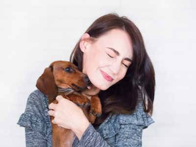 The Rover Dog Sitting Service