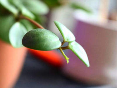 The Goodbye Winter Sale