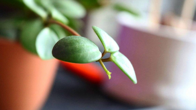 Goodbye Winter Deals from $4.98 @ Walmart